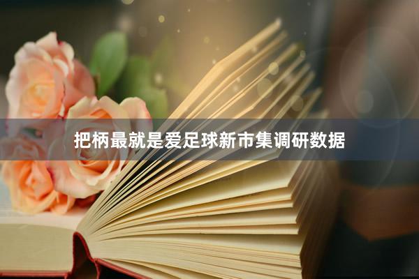 把柄最就是爱足球新市集调研数据