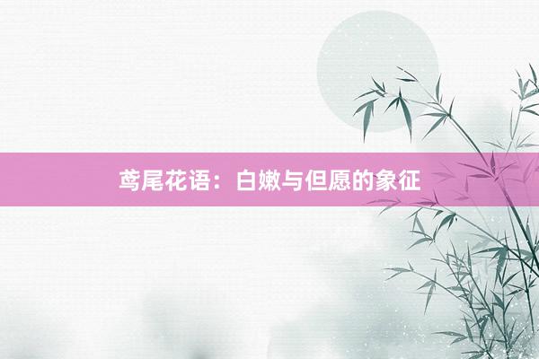 鸢尾花语：白嫩与但愿的象征