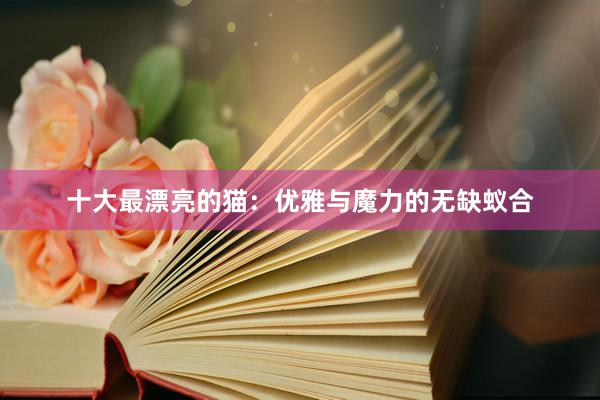 十大最漂亮的猫：优雅与魔力的无缺蚁合