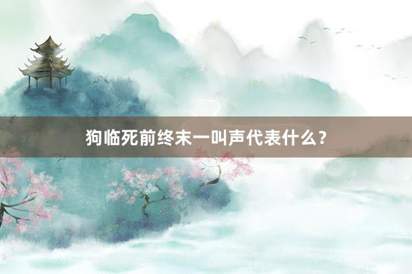 狗临死前终末一叫声代表什么？